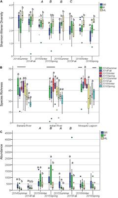 Soft-Sediment Communities of the Northern Indian River Lagoon, FL, United States